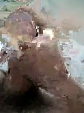 Snapshot of naghmi12 chatting on 11, 11, 2025 naghmi12 online show from 11, 11, 2025