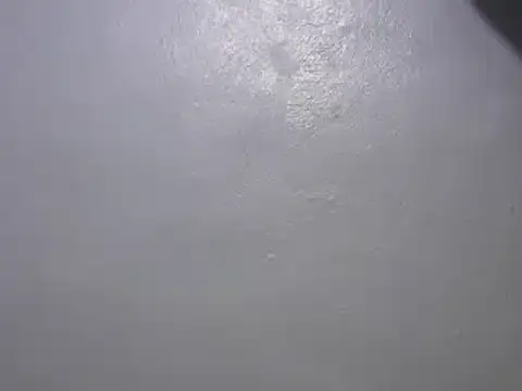 Snapshot of Forsia chatting on 7, 1, 2025 Forsia online show from 7, 1, 2025