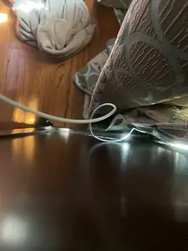 Snapshot of dingoding chatting on 16, 4, 2026 dingoding online show from 16, 4, 2026