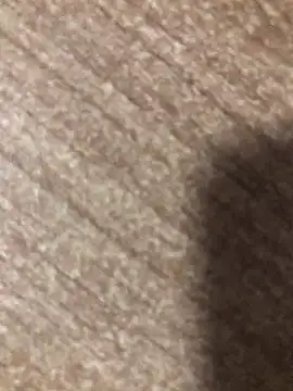 gokhanbey34 online show from 8, 2, 2025