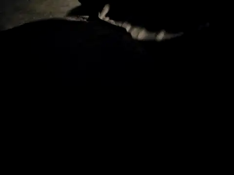 Midwest-exhibistionist online show from 22, 2, 2026