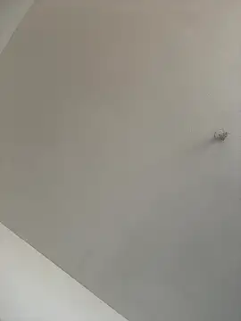 waakenda online show from 9, 1, 2026