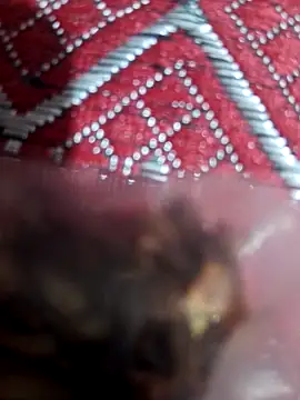 XBHUUME online show from 1, 2, 2025