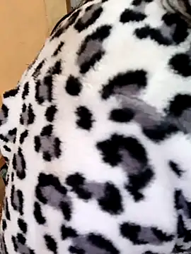 Diya 143 online show from 22, 12, 2025