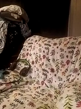 Snapshot of ShadowyTube chatting on 19, 2, 2025 ShadowyTube online show from 19, 2, 2025