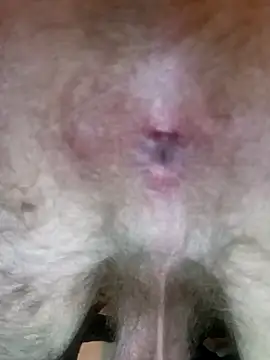 Snapshot of ShadowyTube chatting on 1, 11, 2025 ShadowyTube online show from 1, 11, 2025