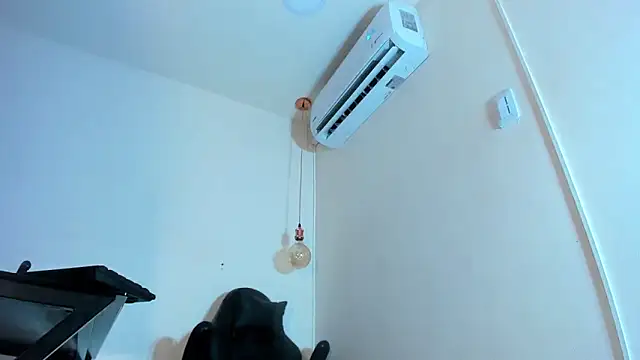 xGenesis Miller  online show from 21, 1, 2025