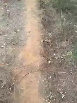 Gopal1243 online show from 10, 2, 2025