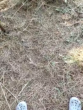 Gopal1243 online show from 9, 1, 2026