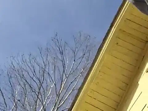 highstepper500 online show from 26, 12, 2024