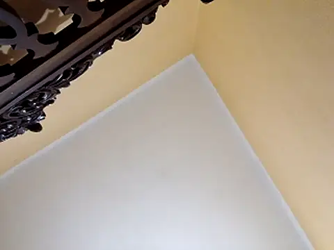 Snapshot of White_rabbit_ chatting on 29, 10, 2025 White rabbit  online show from 29, 10, 2025