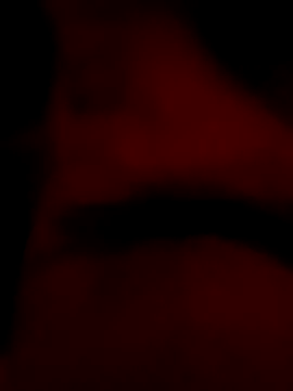 roccosif696 online show from 25, 1, 2025