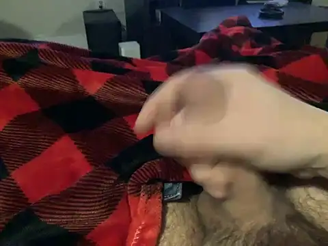 northcock87 online show from 11, 12, 2024