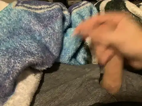 northcock87 online show from 29, 10, 2025