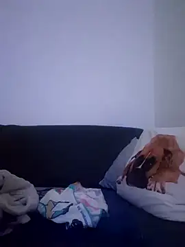 cuci45 online show from 21, 12, 2025