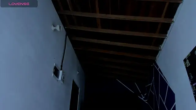 ink demonxxx online show from 21, 3, 2025