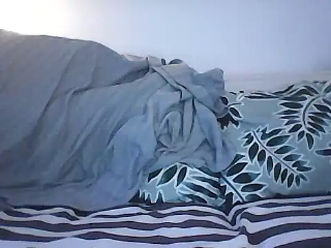 Snapshot of Malcomvs97 chatting on 28, 1, 2025 Malcomvs97 online show from 28, 1, 2025