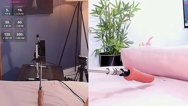 Sweet Susie  online show from 28, 7, 2026