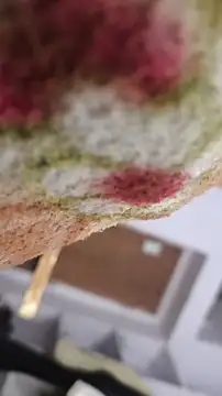 Im Aryan online show from 14, 12, 2024