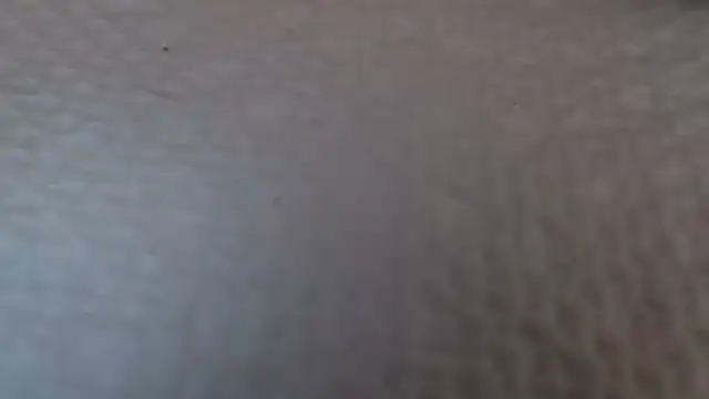 TsSandyx online show from 30, 4, 2026