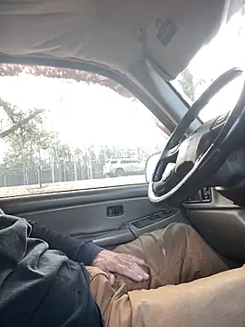 Themechanic420 online show from 19, 2, 2026