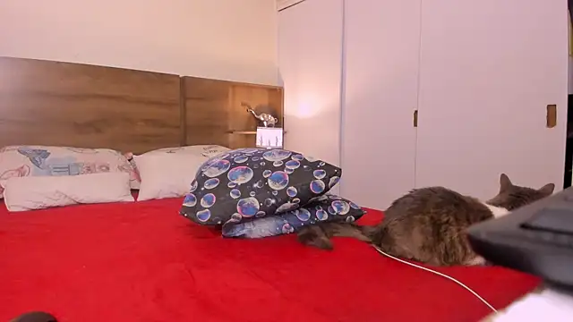 emily adams01 online show from 27, 2, 2025