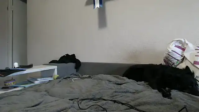 delightful sofi online show from 9, 10, 2025