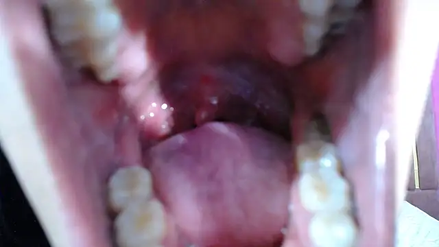 Chanel-24 online show from 3, 1, 2025