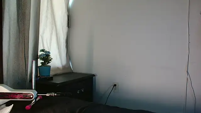MINI Petite online show from 26, 7, 2026