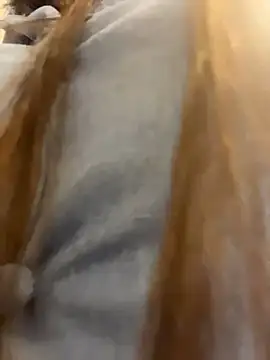 Snapshot of Reggie-Liam chatting on 9, 1, 2026 Reggie-Liam online show from 9, 1, 2026