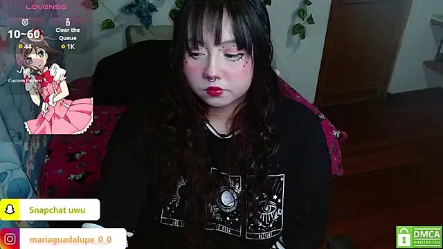 litlle cat online show from 23, 2, 2025