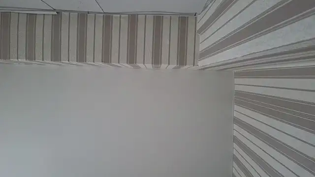 Snapshot of lily__foster chatting on 22, 9, 2025 lily foster online show from 22, 9, 2025