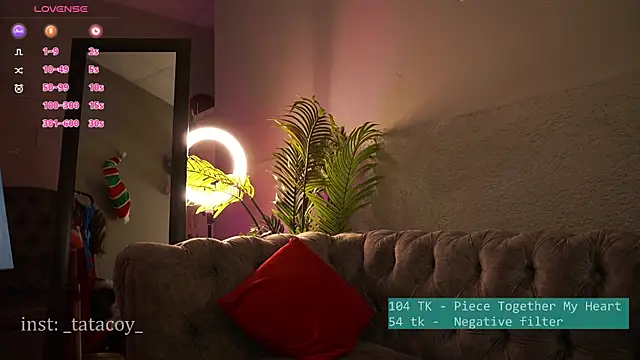 TataCoy online show from 19, 2, 2025