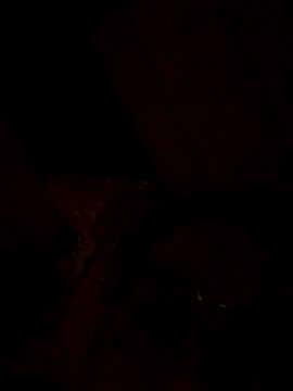 nalalye cruzz  online show from 29, 9, 2025