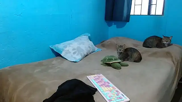 clarisse69 online show from 18, 3, 2025