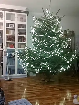 Snapshot of SexyDreamercouple89 chatting on 7, 12, 2024 SexyDreamercouple89 online show from 7, 12, 2024