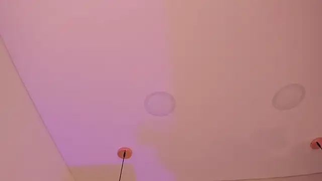 cute  cherry  online show from 16, 2, 2026