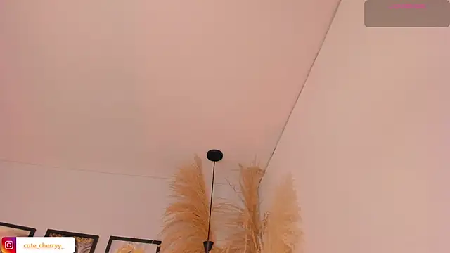 cute  cherry  online show from 13, 7, 2026