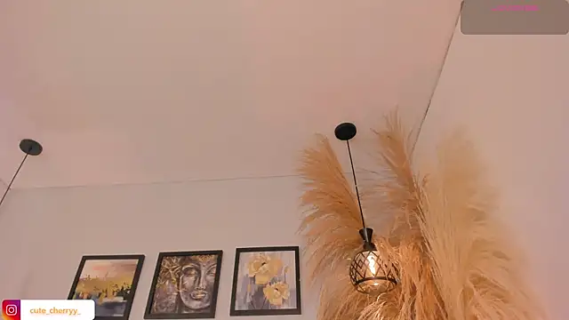 cute  cherry  online show from 14, 7, 2026