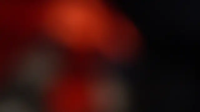 -AyeshaSinghania- online show from 10, 3, 2026