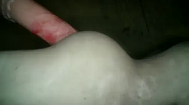 xxxlecram online show from 9, 1, 2025