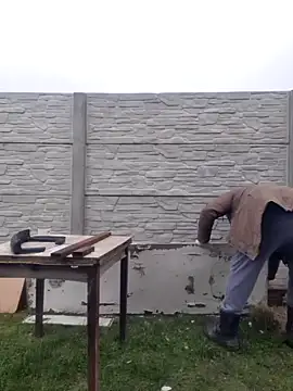 Pandasky online show from 6, 2, 2025