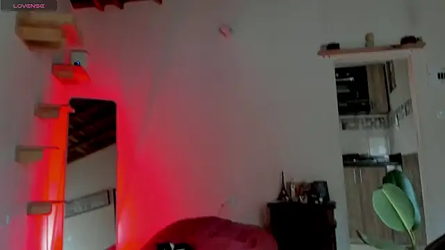 Rainbow leia online show from 8, 3, 2026