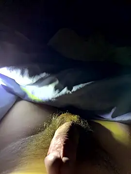 bertram59 online show from 9, 1, 2026