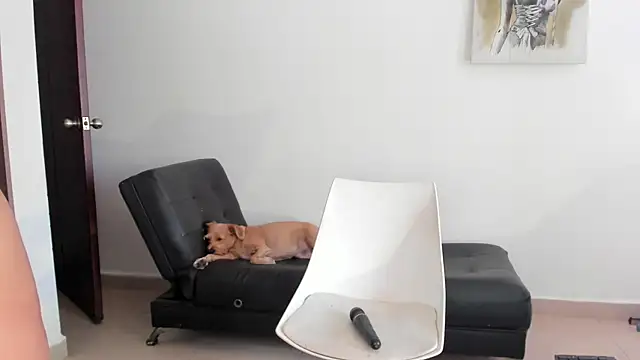 selene king2 online show from 10, 12, 2024