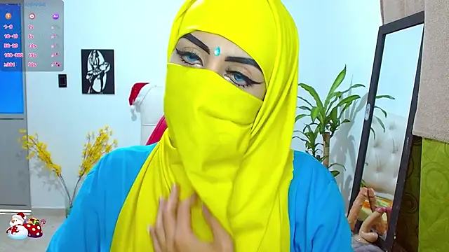 Snapshot of _alabina_ chatting on 16, 12, 2024  alabina  online show from 16, 12, 2024