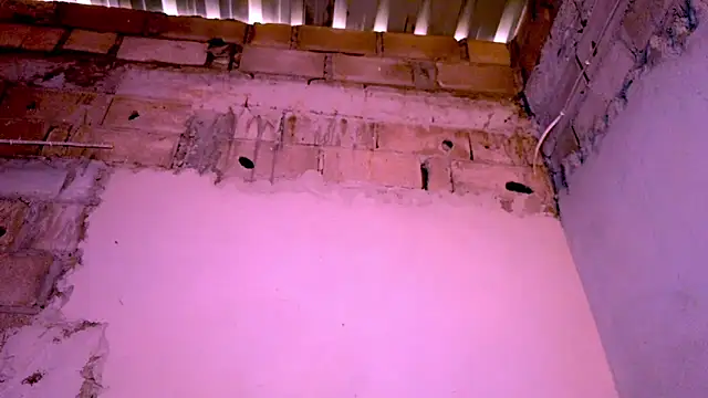 nzanizy online show from 31, 12, 2024