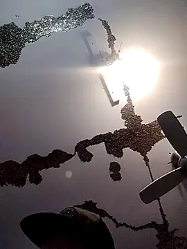 ColdVisitor online show from 21, 3, 2025