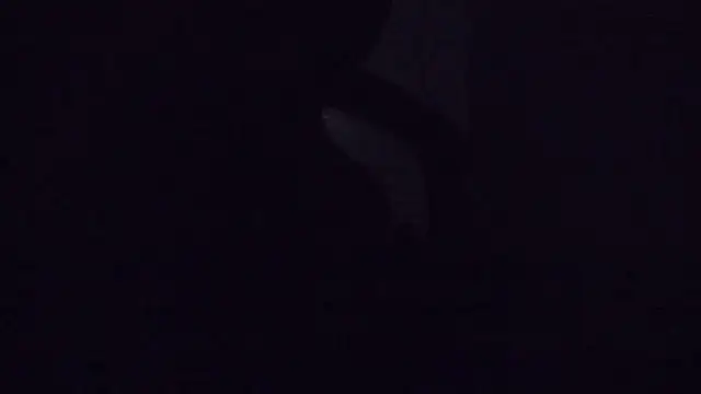 Snapshot of SouTarado69 chatting on 21, 3, 2025 SouTarado69 online show from 21, 3, 2025