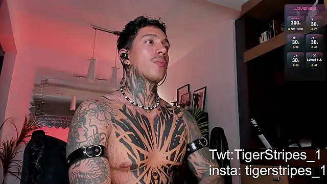 TigerStripes1  online show from 22, 2, 2025